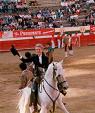 Spanish bullfighter on horseback in a bullring